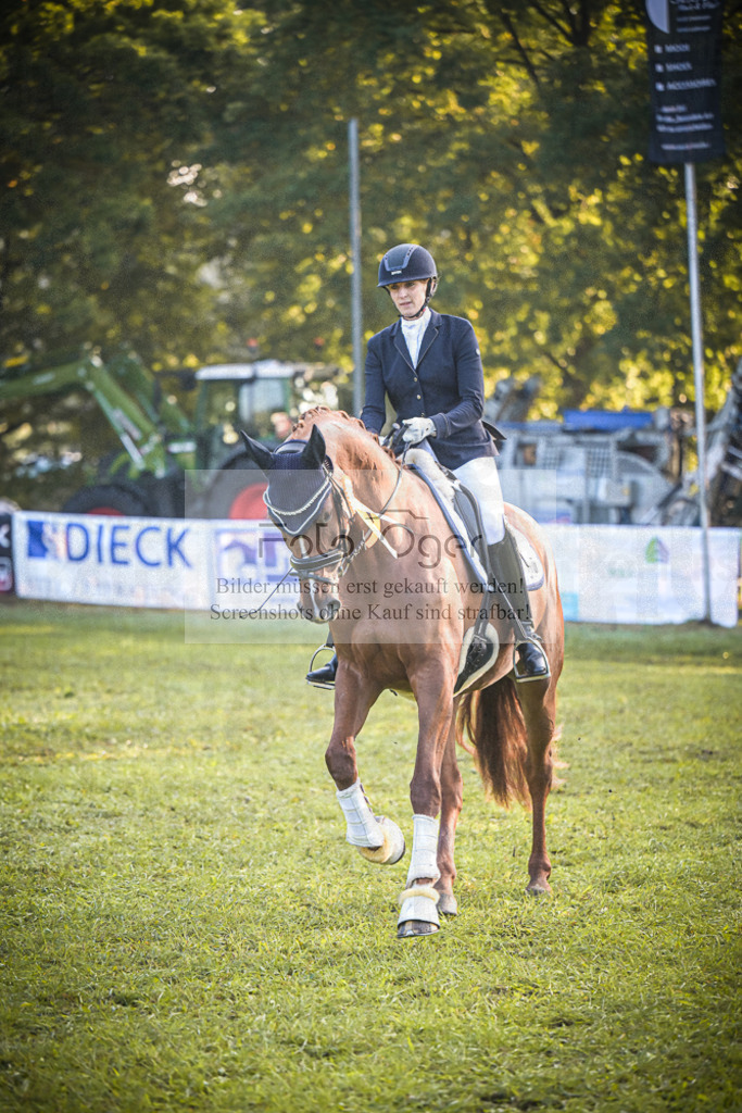 DOS_0064 | Entdecke hochwertige Reitturnierfotos von Foto Oger. Professionell, emotional und authentisch – jetzt Lieblingsmomente im Shop bestellen.Deutschlandweite Turnierfotografie. - Realisiert mit Pictrs.com