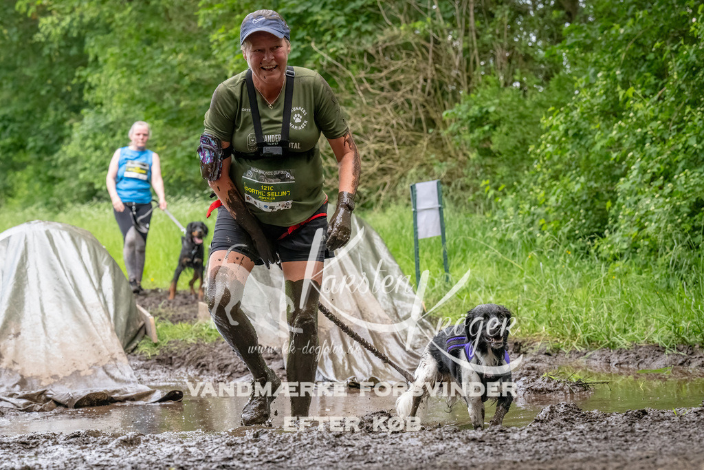 1538_ZZ94615-Bearbeitet | kk-dogfotos