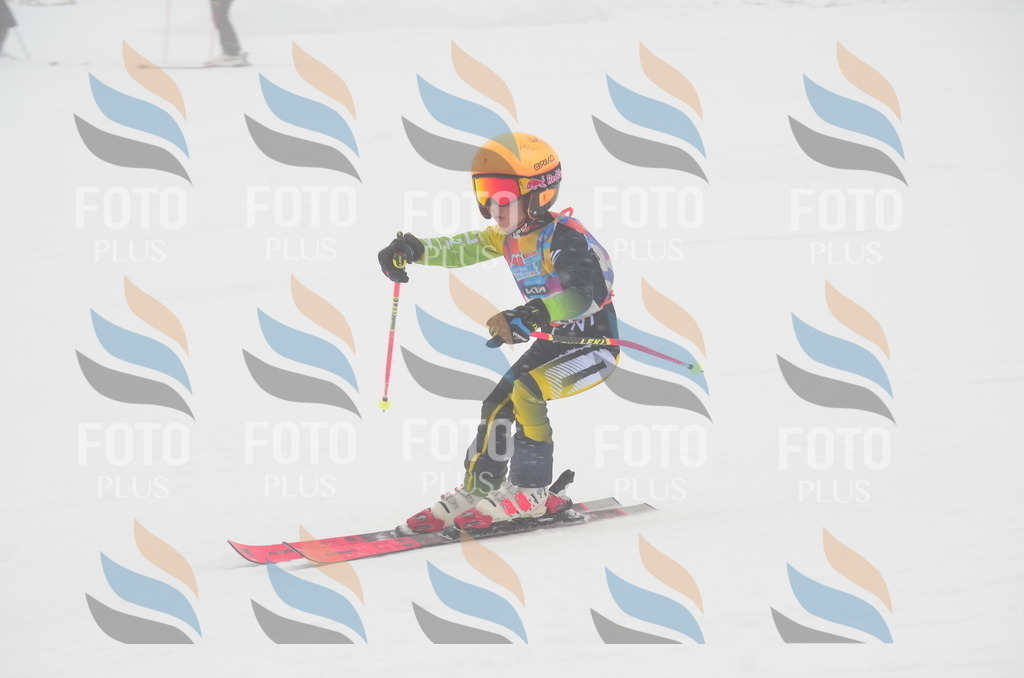 C0893 | holidayphoto