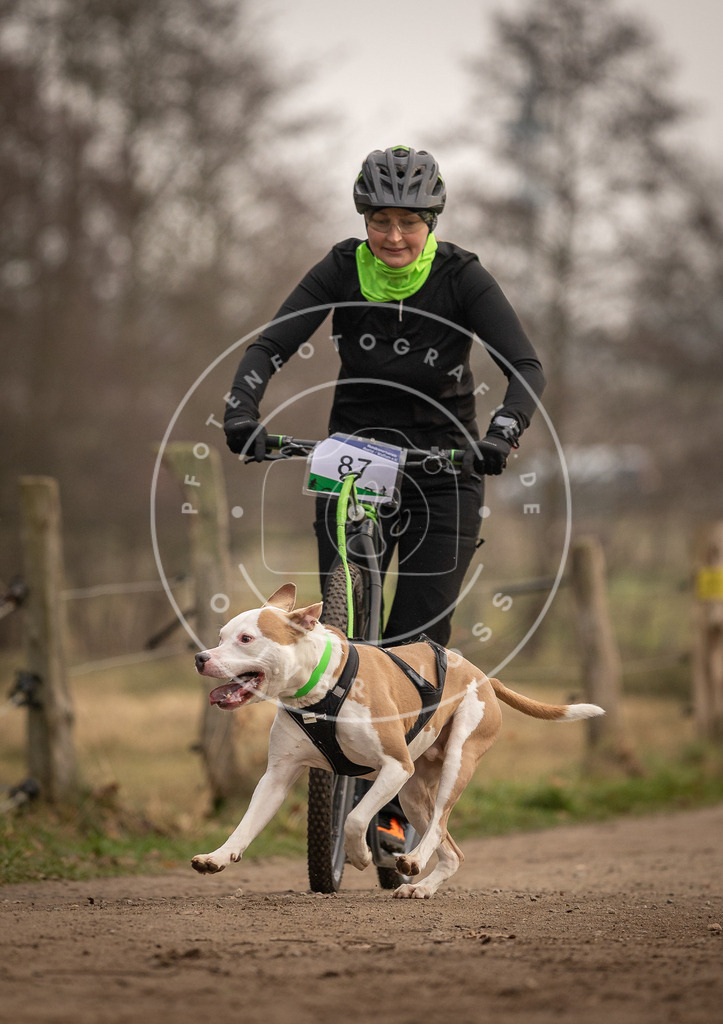 Pfotenfotografie_DV3A4132 | Hundefotografie, Tierfotograf, Pfotenfotografie, Fotoshooting Hund, Hunde Portrait, Hundesport, Hundeportraits, Heideshooting, Hunde, Sportfotograf, Hundefotograf, Turnierhundsport, THS,  - Realisiert mit Pictrs.com
