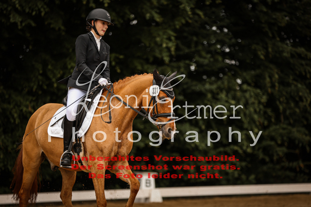 DoDrE00439 | Leoni Ertmer Photography - Realisiert mit Pictrs.com