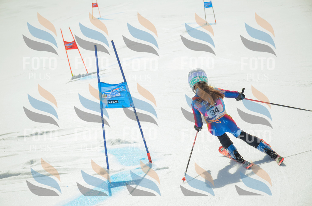 _ELE4942 | holidayphoto