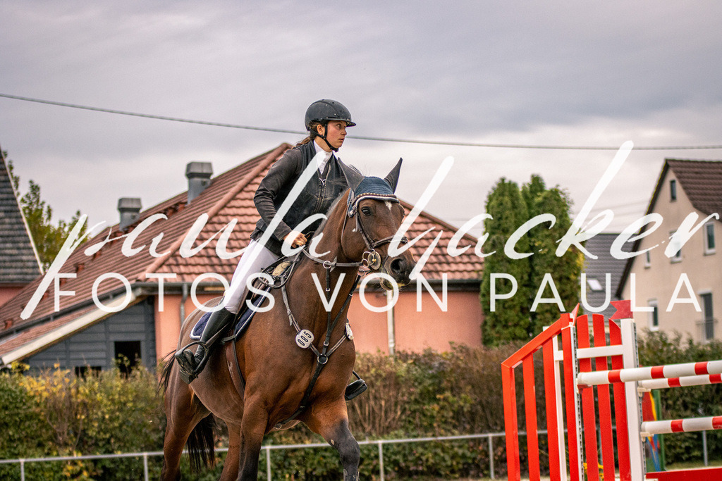 IMG_6254 | Erleben Sie dynamische Sport- und emotionale Tierfotografie in Süddeutschland mit Fotos von Paula. Spezialisiert auf Pferde- und Hundefotografie sowie Sportevents. Kontaktieren Sie mich für einzigartige und ausdrucksstarke Bilder Ihrer besonderen Momente.