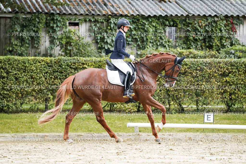 DSC06896 | Pferdegrafie