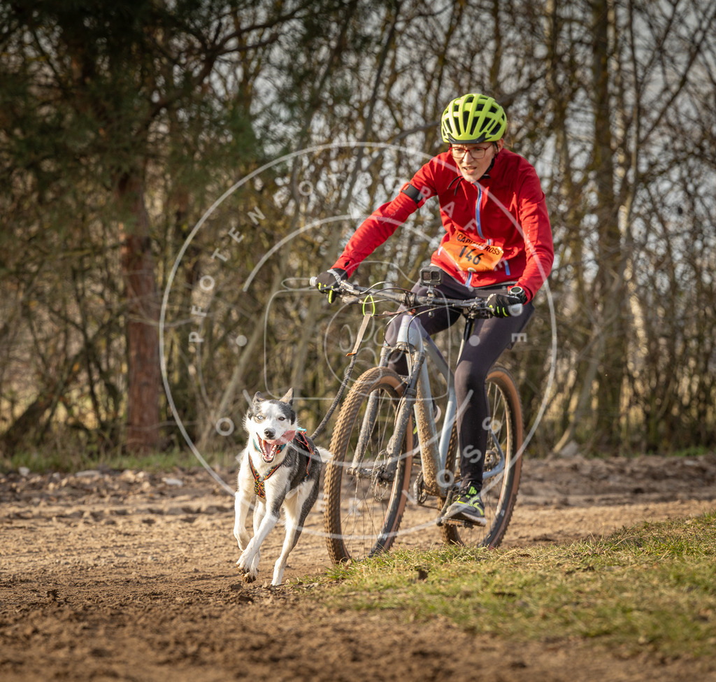 Pfotenfotografie_DV3A8714 | Hundefotografie, Tierfotograf, Pfotenfotografie, Fotoshooting Hund, Hunde Portrait, Hundesport, Hundeportraits, Heideshooting, Hunde, Sportfotograf, Hundefotograf, Turnierhundsport, THS,  - Realisiert mit Pictrs.com