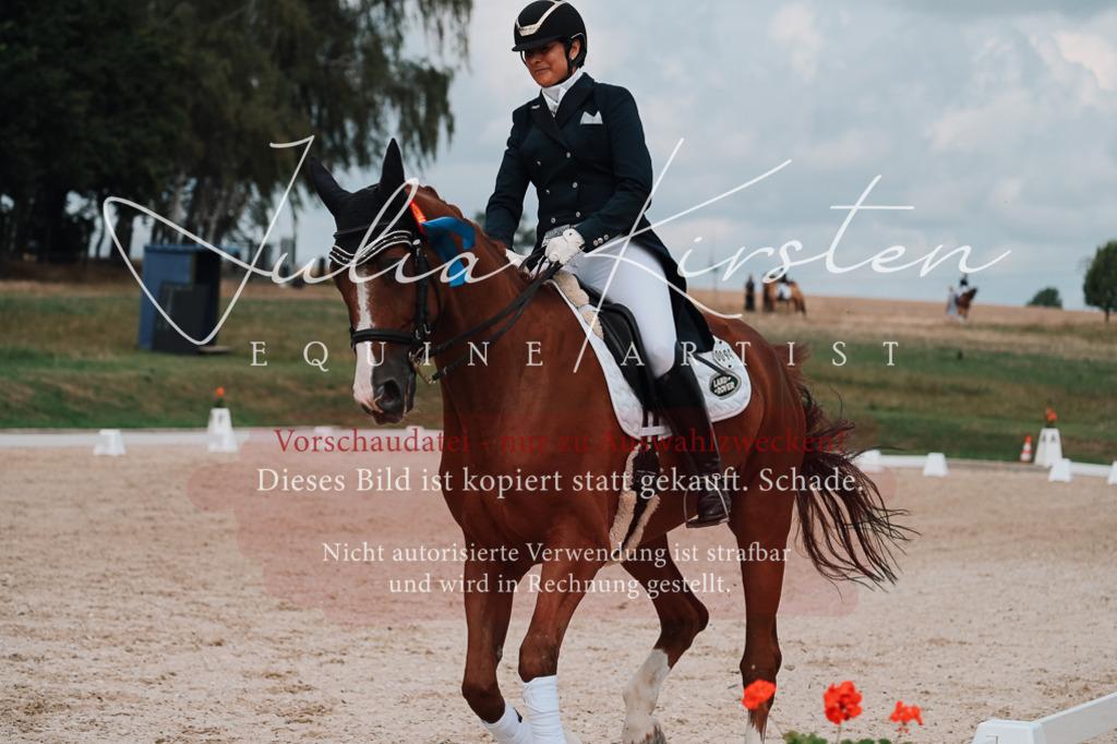 DSC_4144 | Pferde- und Turnierfotografie in Westsachsen. Pferdeportraits, Auftragszeichnungen und intuitive Kunst.