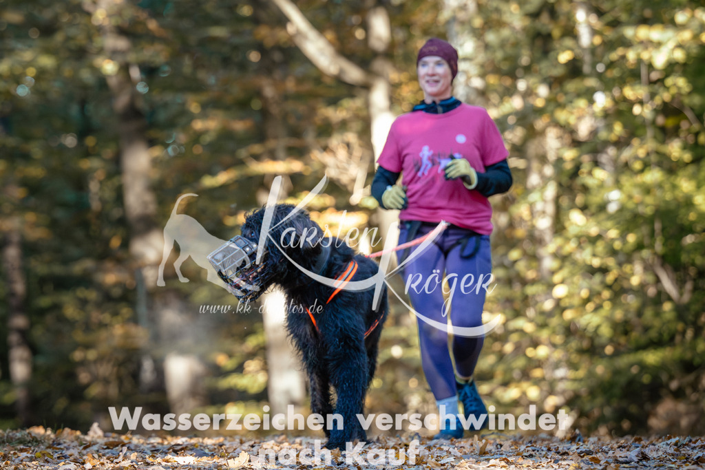 1042_ZZ90751 | kk-dogfotos