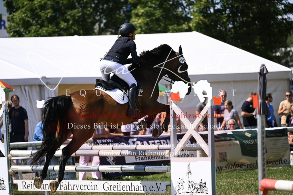 DSC_0173 | Pferde- und Turnierfotografie in Westsachsen. Pferdeportraits, Auftragszeichnungen und intuitive Kunst.