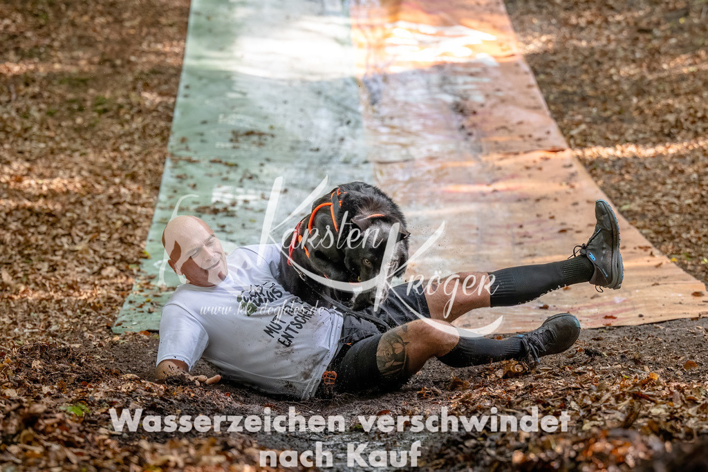 1222_ZZ94511-Bearbeitet | kk-dogfotos