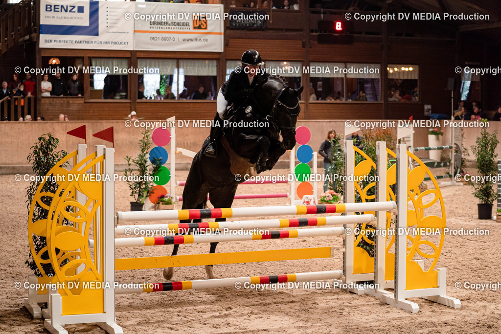 Springen Tag 2-665 | dv-media-shop - Realisiert mit Pictrs.com