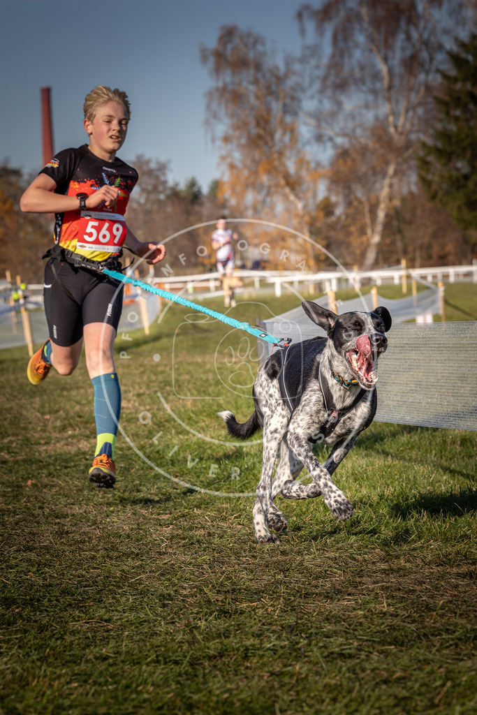 CaniXpix_0L8A8019 | Hundefotografie, Tierfotograf, Pfotenfotografie, Fotoshooting Hund, Hunde Portrait, Hundesport, Hundeportraits, Heideshooting, Hunde, Sportfotograf, Hundefotograf, Turnierhundsport, THS,  - Realisiert mit Pictrs.com