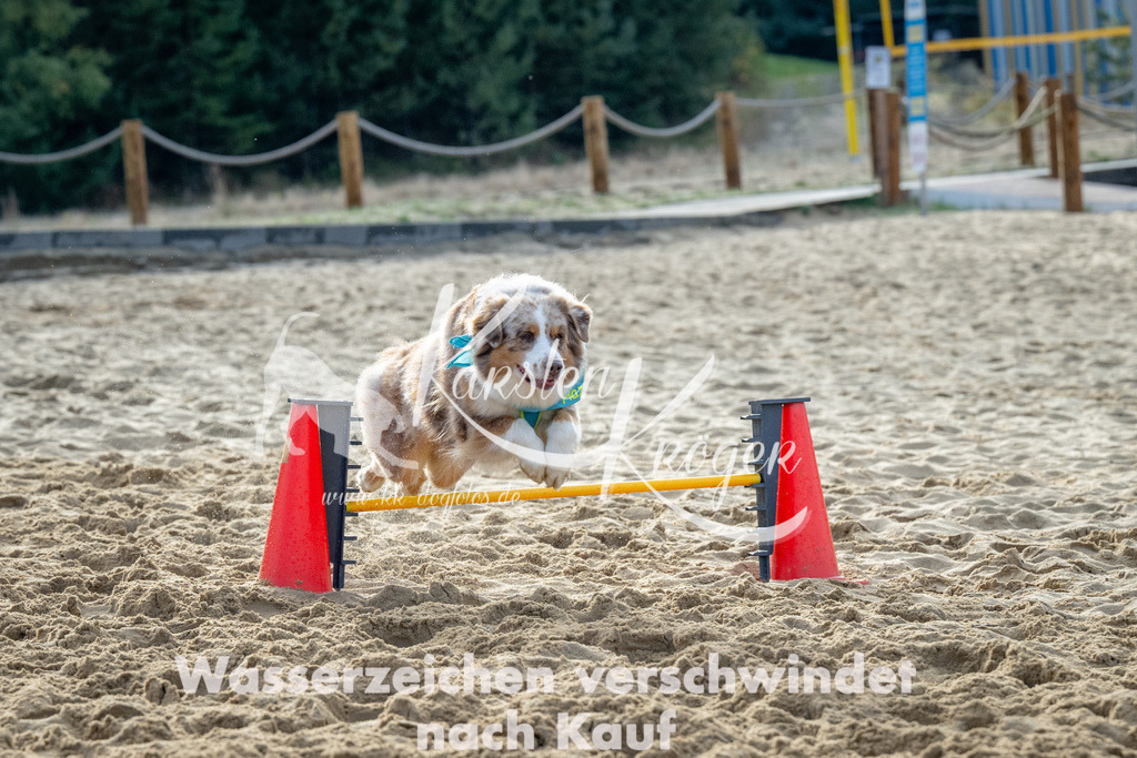 0929_ZZ92500 | kk-dogfotos