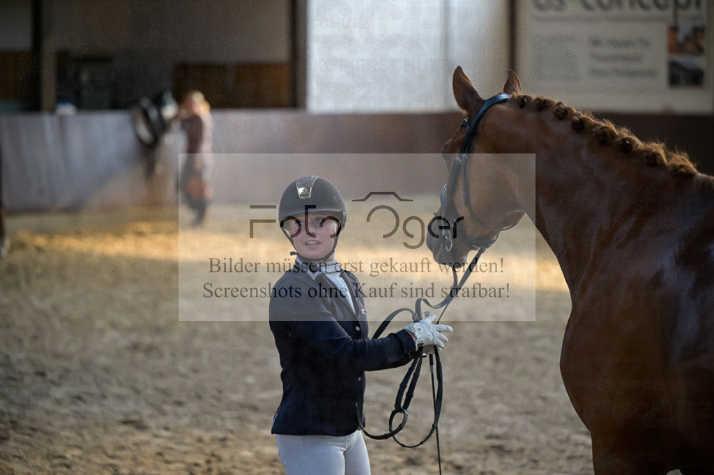 Reitturnier Voxtrup | Entdecke hochwertige Reitturnierfotos von Foto Oger. Professionell, emotional und authentisch – jetzt Lieblingsmomente im Shop bestellen.Deutschlandweite Turnierfotografie. - Realisiert mit Pictrs.com