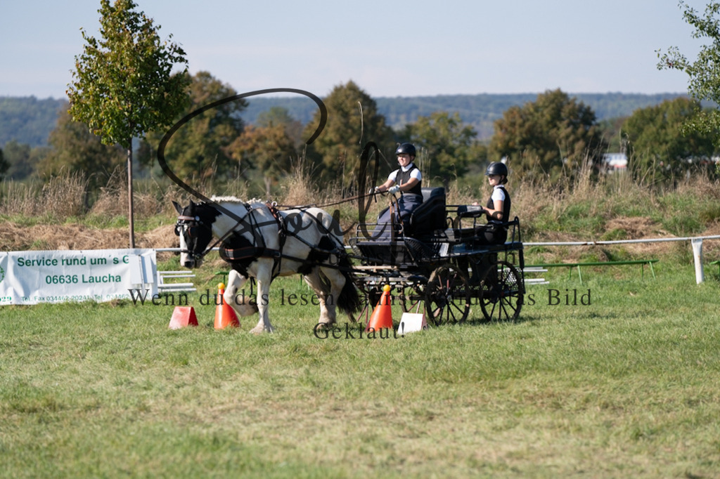 A7V04376 | Pferdefotograf