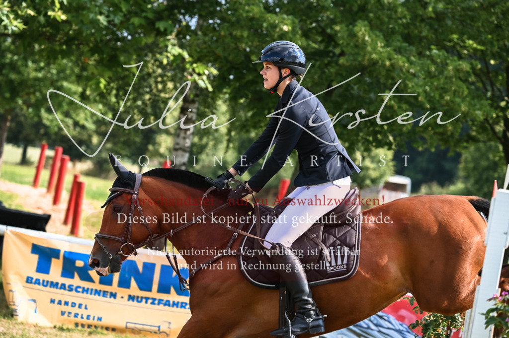 DSC_7911 | Pferde- und Turnierfotografie in Westsachsen. Pferdeportraits, Auftragszeichnungen und intuitive Kunst.