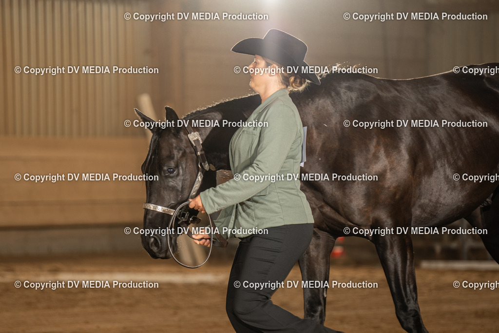 NID02452 | dv-media-shop - Realisiert mit Pictrs.com