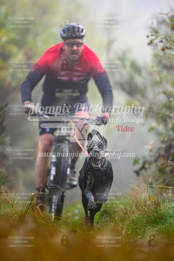 MompixPhotography_20TSB_E4_Bike-37 | PayLife