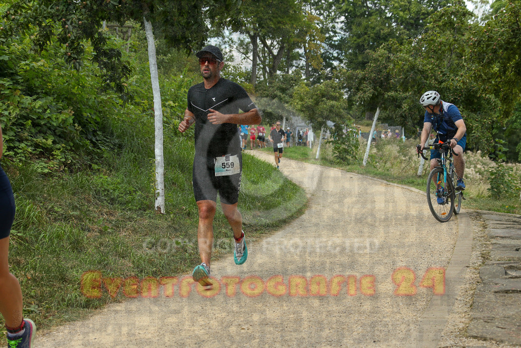250824_1345_EX1_3565 | Sportfotografie im Rhein-Sieg Kreis, Köln, Bonn, NRW, Rheinland Pfalz, Hessen, etc. Unser Tätigkeitsfeld umfasst den Laufsport vom Volkslauf über den Marathon, Duathlon, Triathon bis zum Ultralauf wie Kölnpfad Ultra oder Schindertrail.