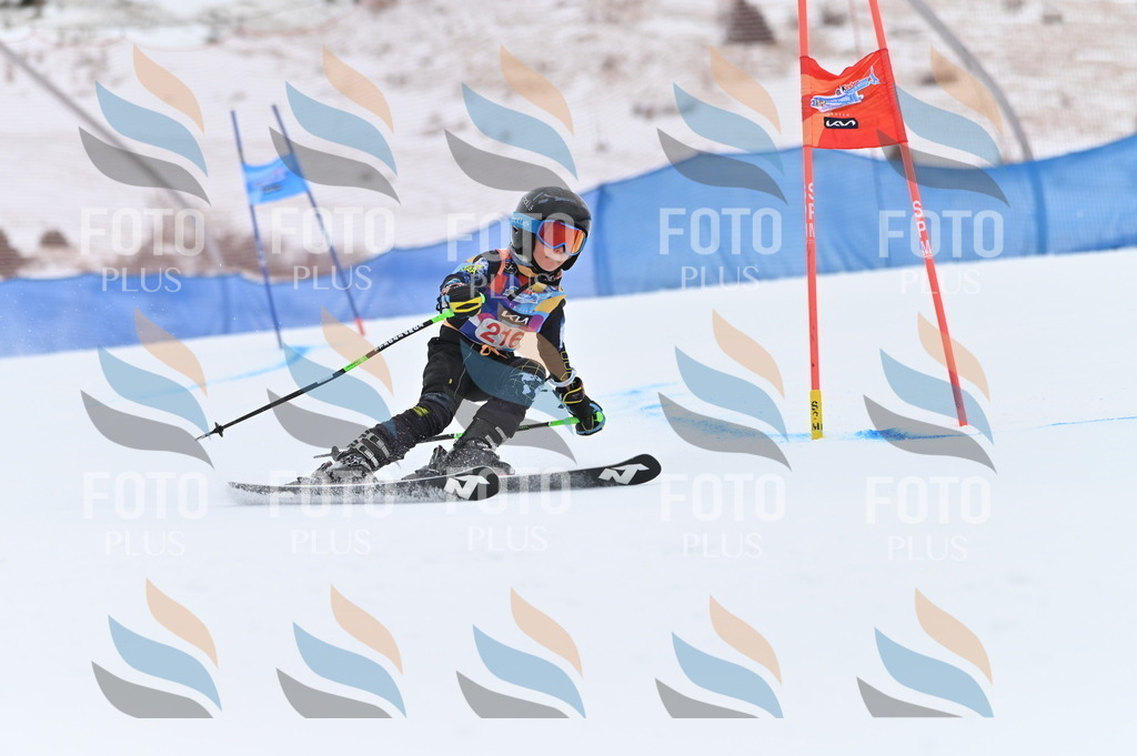 BGV_2802 | holidayphoto