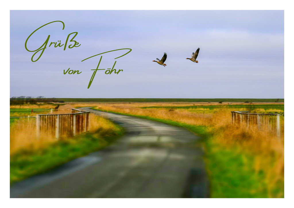 Motiv 23 | Eilun-Art-Fotografie Levke Martens, ihre Fotografin für Immobilien- und Landschaftsfotografie auf Föhr, Föhrer Motive als Poster, Leinwand, hinter Acrylglas oder stelle dir deinen eigenen Monatskalender zusammen, mit nur einem Klick