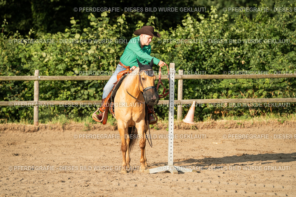 DSC06170 | Pferdegrafie