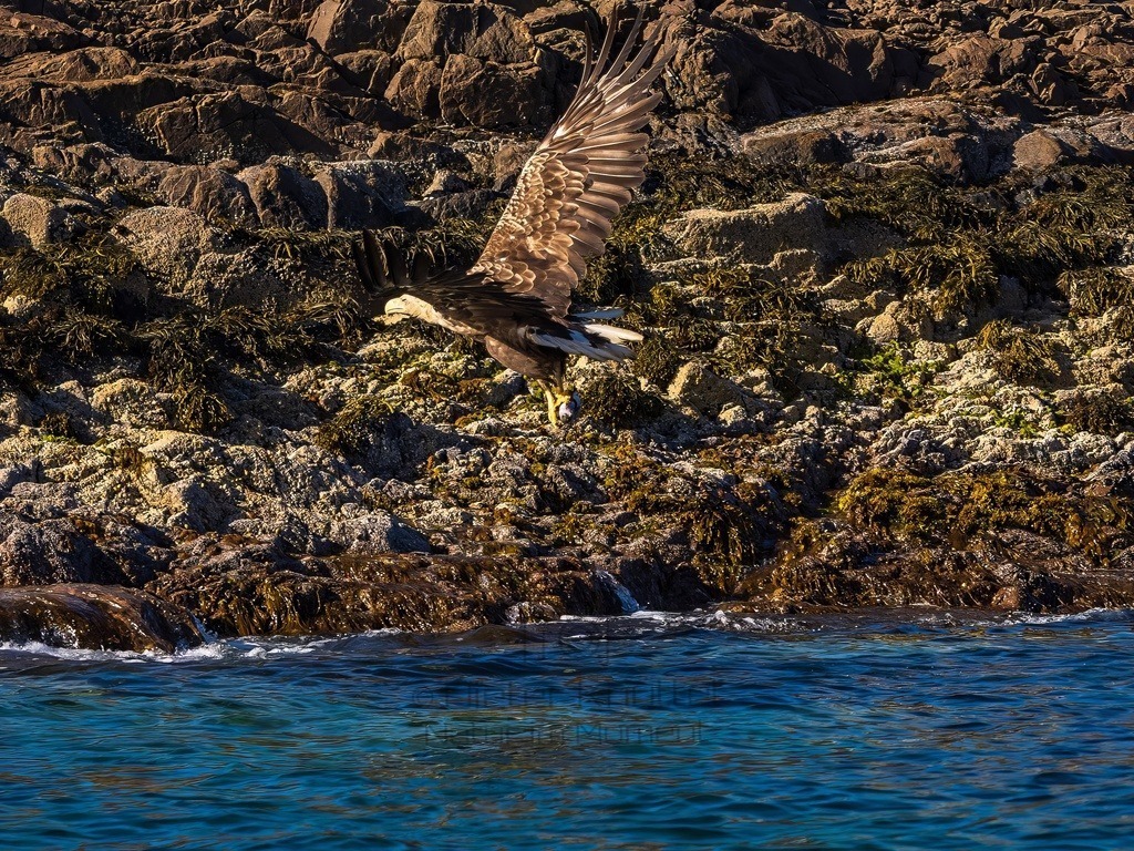 P1001641-LR-topaz-denoise-enhance | Natur im Moment - Realisiert mit Pictrs.com