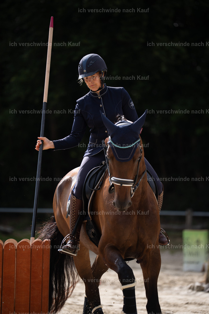 WL_ST_41_stoibphotography_5 | working equitationturnier fotograf videograf stoibphotography marixx film working equitation deutschland reitsport turnierfotografie eventfotografie equestrian events