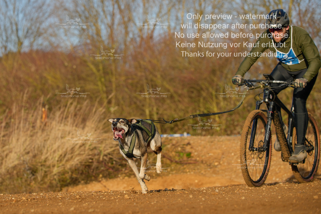 So_DVGBSP2025_Bike (301 von 358) | stephaniefillaphotographie - Realisiert mit Pictrs.com