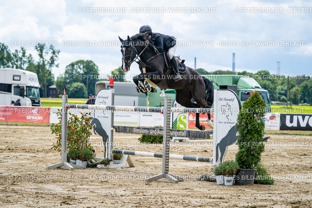 DSC05774 | Pferdegrafie