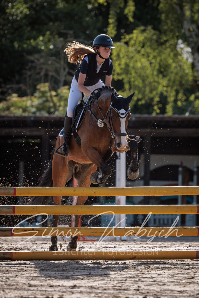 20260529-_3LI0047 | Tierfotografie Pferde, Hunde, Katzen, Haustiere.
Turnierfotografie Reitturniere, Reiten, Springreiten, Dressur in Hanau, dem Main-Kinzig-Kreis und dem Rhein-Main- Gebiet um Frankfurt