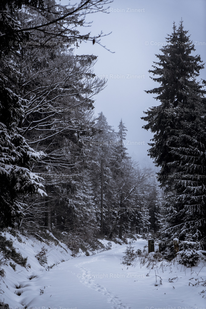 Instawalk_Seehaus-11 | Robin Zinnert - Realisiert mit Pictrs.com