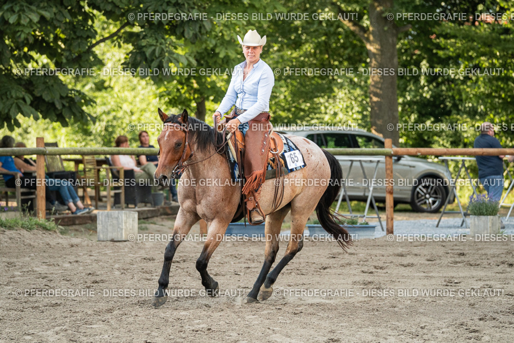 DSC06252 | Pferdegrafie