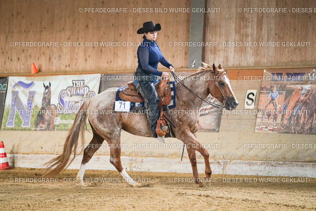 DSC05321 | Pferdegrafie