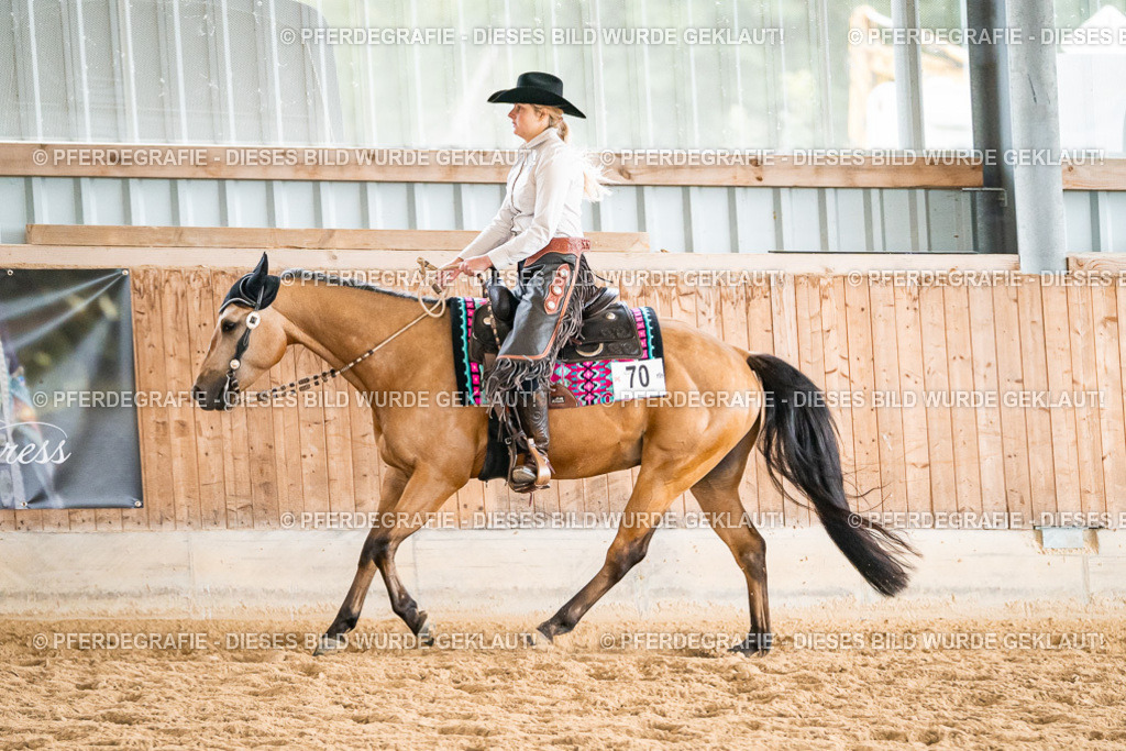 DSC00938 | Pferdegrafie