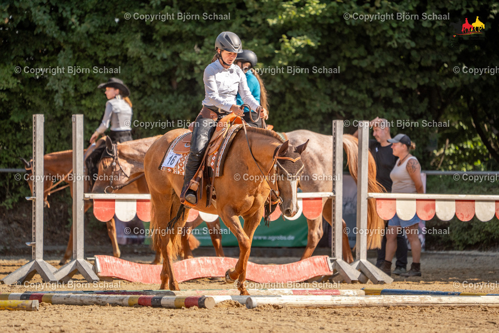 LMS04979 | BS-foto