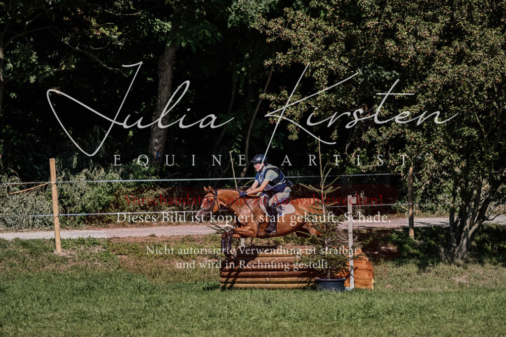 DSC_2079 | Pferde- und Turnierfotografie in Westsachsen. Pferdeportraits, Auftragszeichnungen und intuitive Kunst.