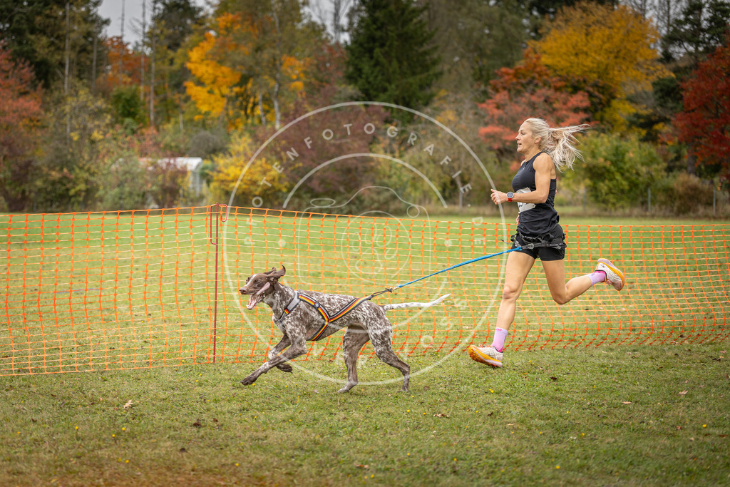 Pfotenfotografie_DV3A4486 | Hundefotografie, Tierfotograf, Pfotenfotografie, Fotoshooting Hund, Hunde Portrait, Hundesport, Hundeportraits, Heideshooting, Hunde, Sportfotograf, Hundefotograf, Turnierhundsport, THS,  - Realisiert mit Pictrs.com