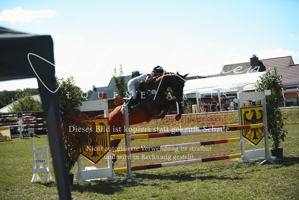 DSC_7036 | Pferde- und Turnierfotografie in Westsachsen. Pferdeportraits, Auftragszeichnungen und intuitive Kunst.