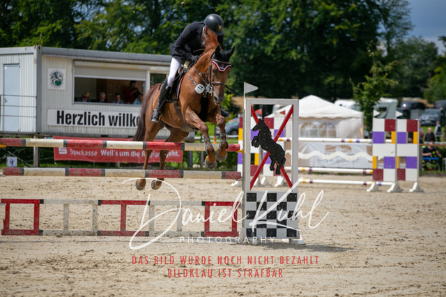 IMG_5672 | Turniersportfotografie; Pferdefotografie; Dressurfotografie