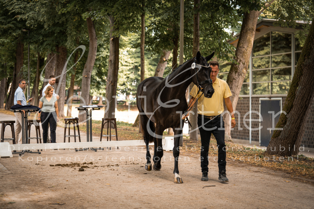 FrPfM00064 | Leoni Ertmer Photography - Realisiert mit Pictrs.com