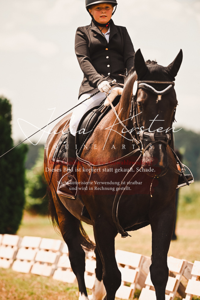 DSC_6380 | Pferde- und Turnierfotografie in Westsachsen. Pferdeportraits, Auftragszeichnungen und intuitive Kunst.