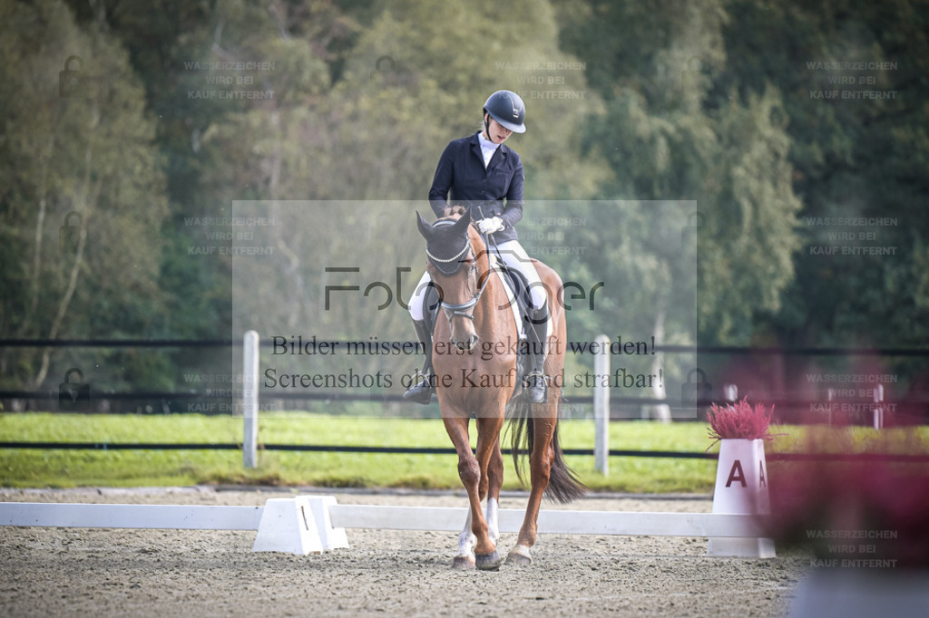 DOS_B661 | Entdecke hochwertige Reitturnierfotos von Foto Oger. Professionell, emotional und authentisch – jetzt Lieblingsmomente im Shop bestellen. - Realisiert mit Pictrs.com