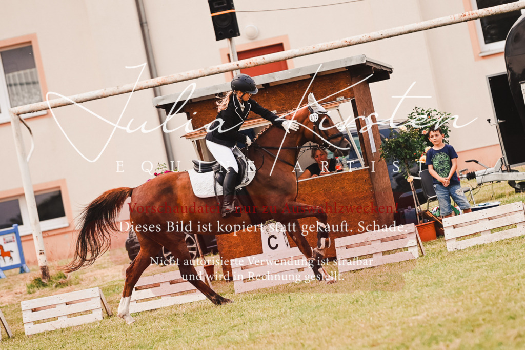 DSC_6884 | Pferde- und Turnierfotografie in Westsachsen. Pferdeportraits, Auftragszeichnungen und intuitive Kunst.