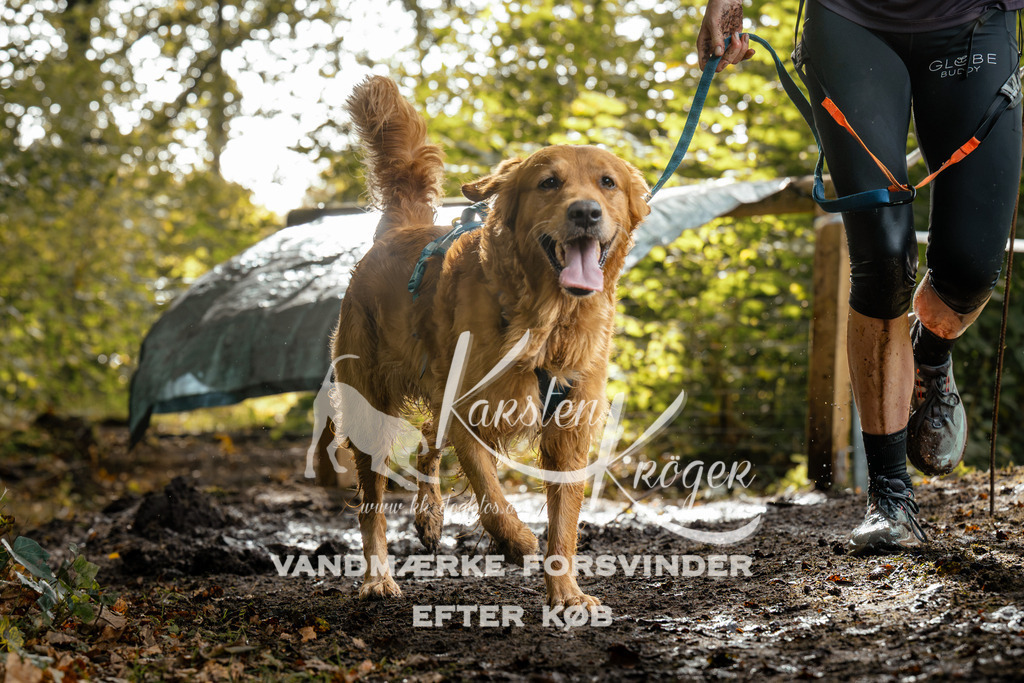 1450DZ6_3599Z6 | kk-dogfotos