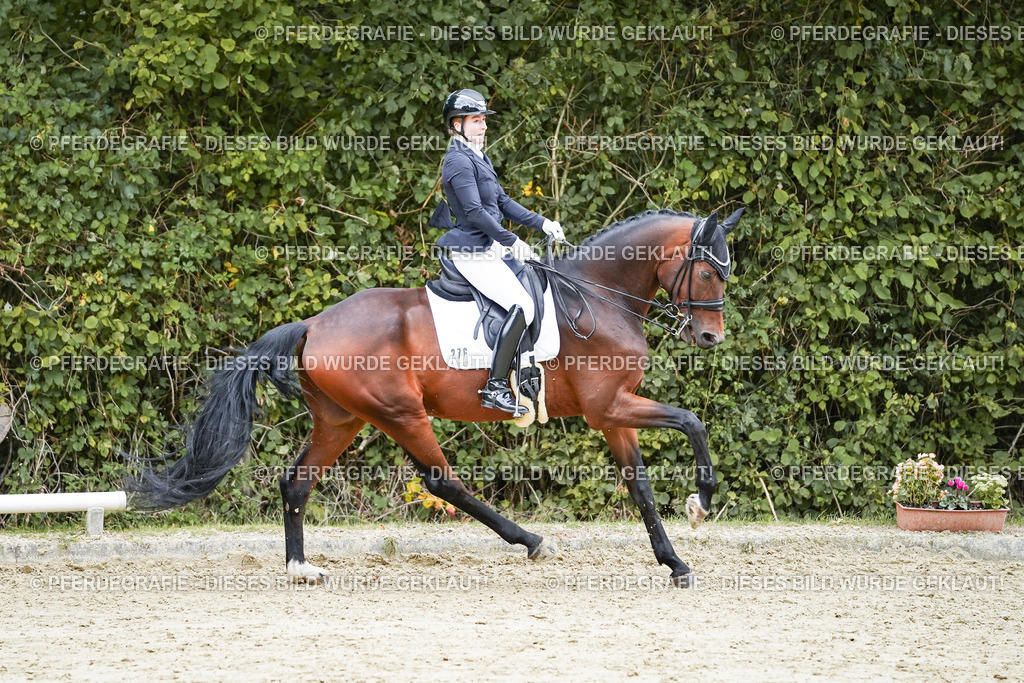 DSC07339 | Pferdegrafie