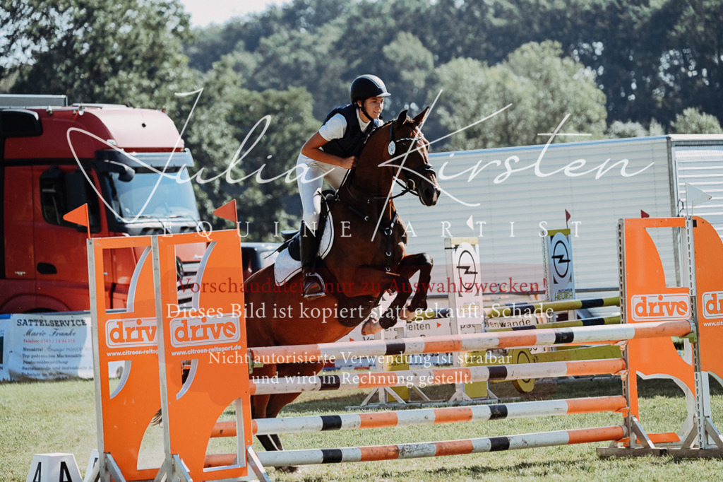 DSC_5431 | Pferde- und Turnierfotografie in Westsachsen. Pferdeportraits, Auftragszeichnungen und intuitive Kunst.