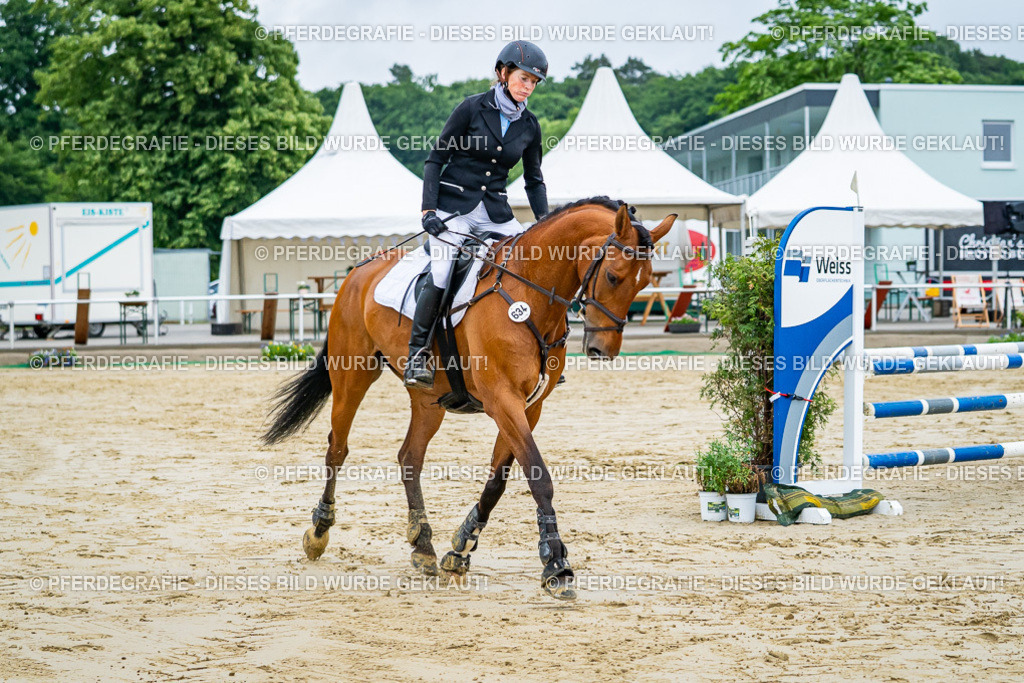 DSC02353 | Pferdegrafie