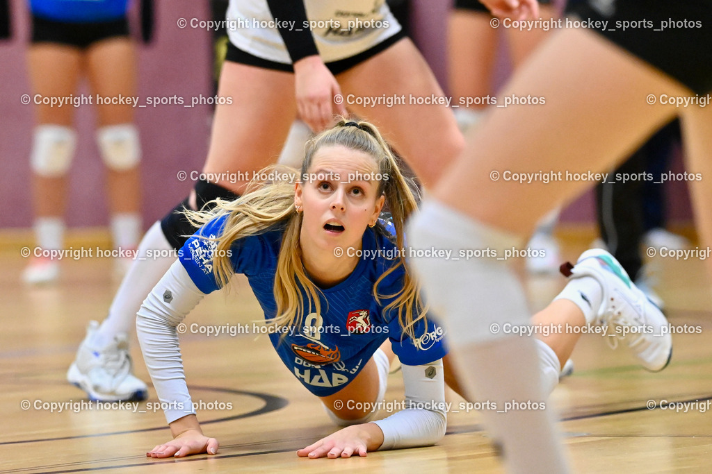 Askö Volley Eagles vs. Mühlviertel Volleys 17.12.2022 | #8 STEINER Melanie