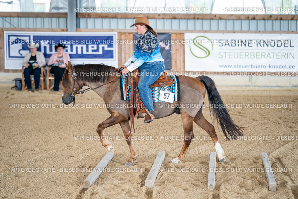 DSC01704 | Pferdegrafie