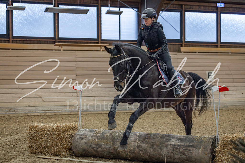 20260221-_3LI8387 | Tierfotografie Pferde, Hunde, Katzen, Haustiere.
Turnierfotografie Reitturniere, Reiten, Springreiten, Dressur in Hanau, dem Main-Kinzig-Kreis und dem Rhein-Main- Gebiet um Frankfurt